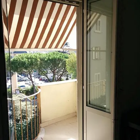 Apartment Coolor And Business