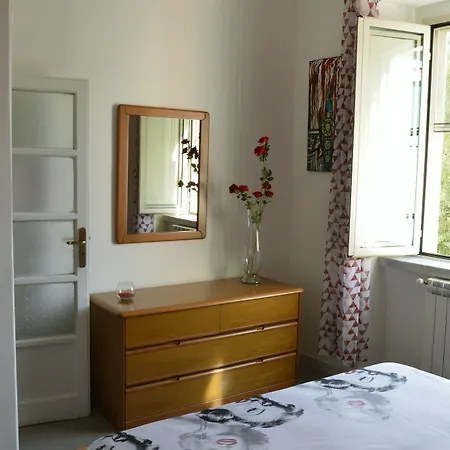 Apartment Coolor And Business *